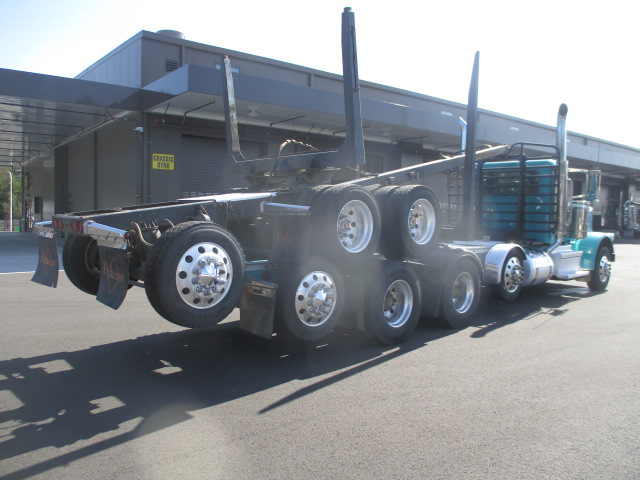 2021 Peterbilt Motor 389